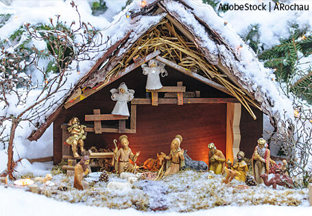 Weihnachten – ein Blick auf die „Nebendarsteller“