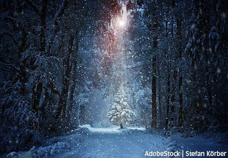 Frohe Weihnachten!