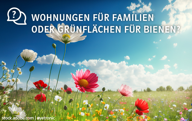 Blumenwiese