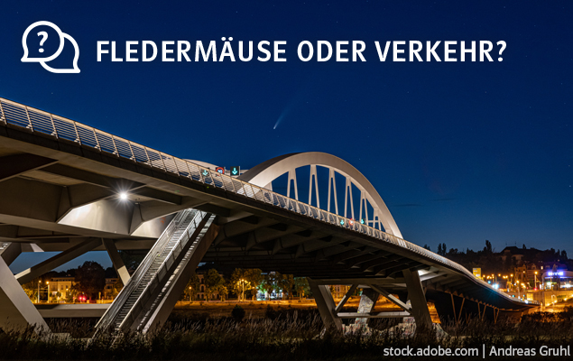 Brücke