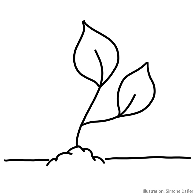 Sketchnote Pflanze