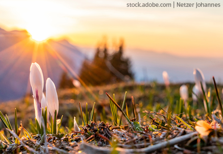 Frühling im Reli-Ethik-Blog